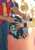 link